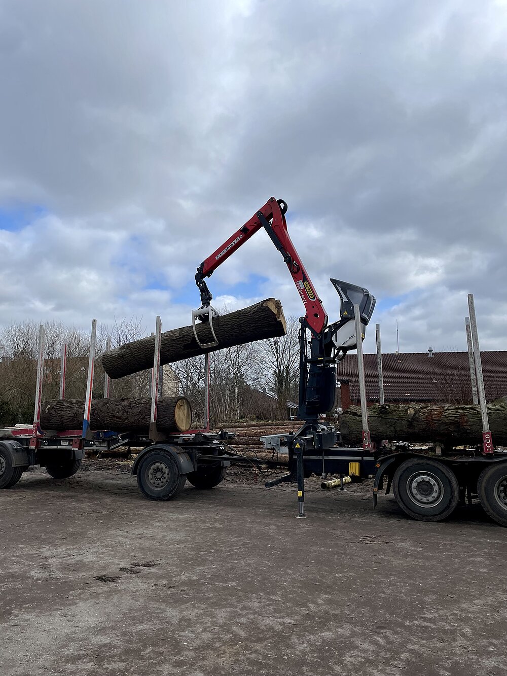 Scheel Sarlhusen Dienstleistungen Stammholz Transport LKW