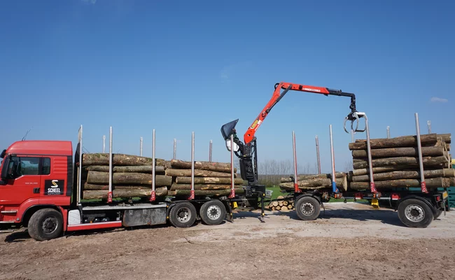 Scheel Sarlhusen Dienstleistung Stammholz Transport LKW