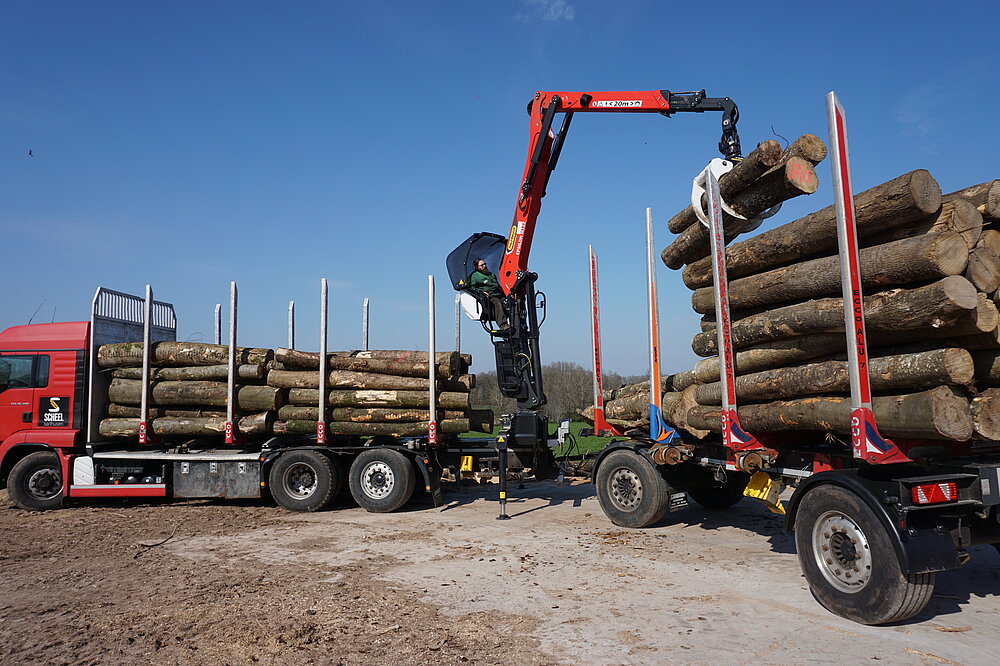 Scheel Sarlhusen Dienstleistungen Brennholz Transport